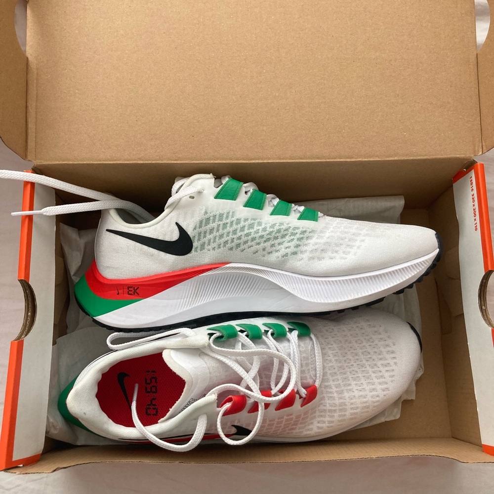 Nike air zoom Pegasus